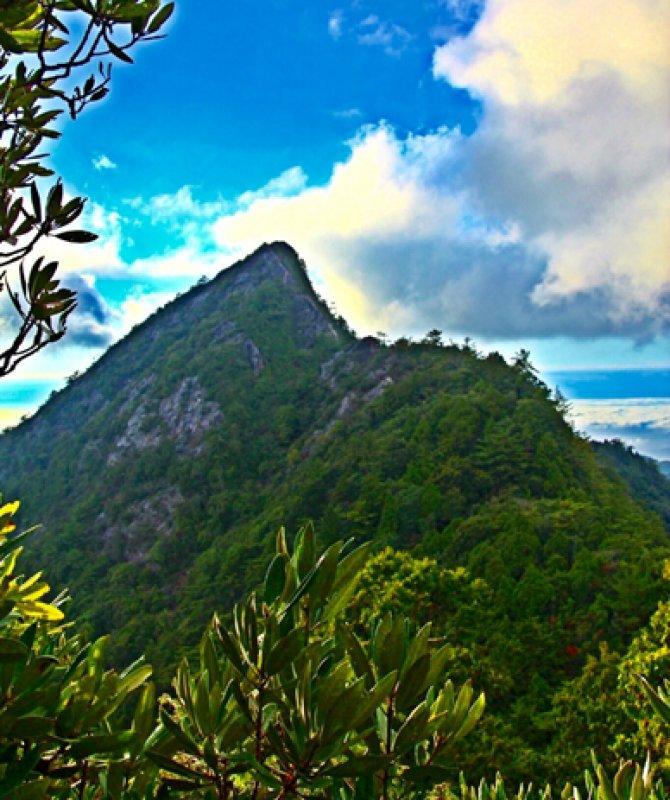 salomon登山鞋不防水,salomon户外鞋如何选择