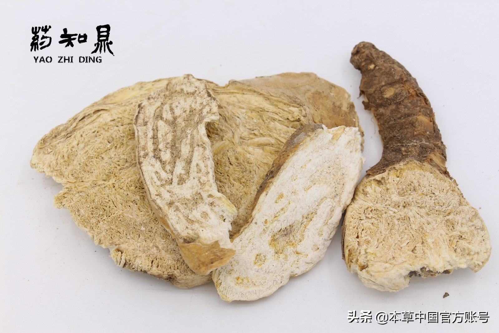 【本草百科·药知鼎——狼毒】花美却是恶毒之药，杀飞鸟走兽