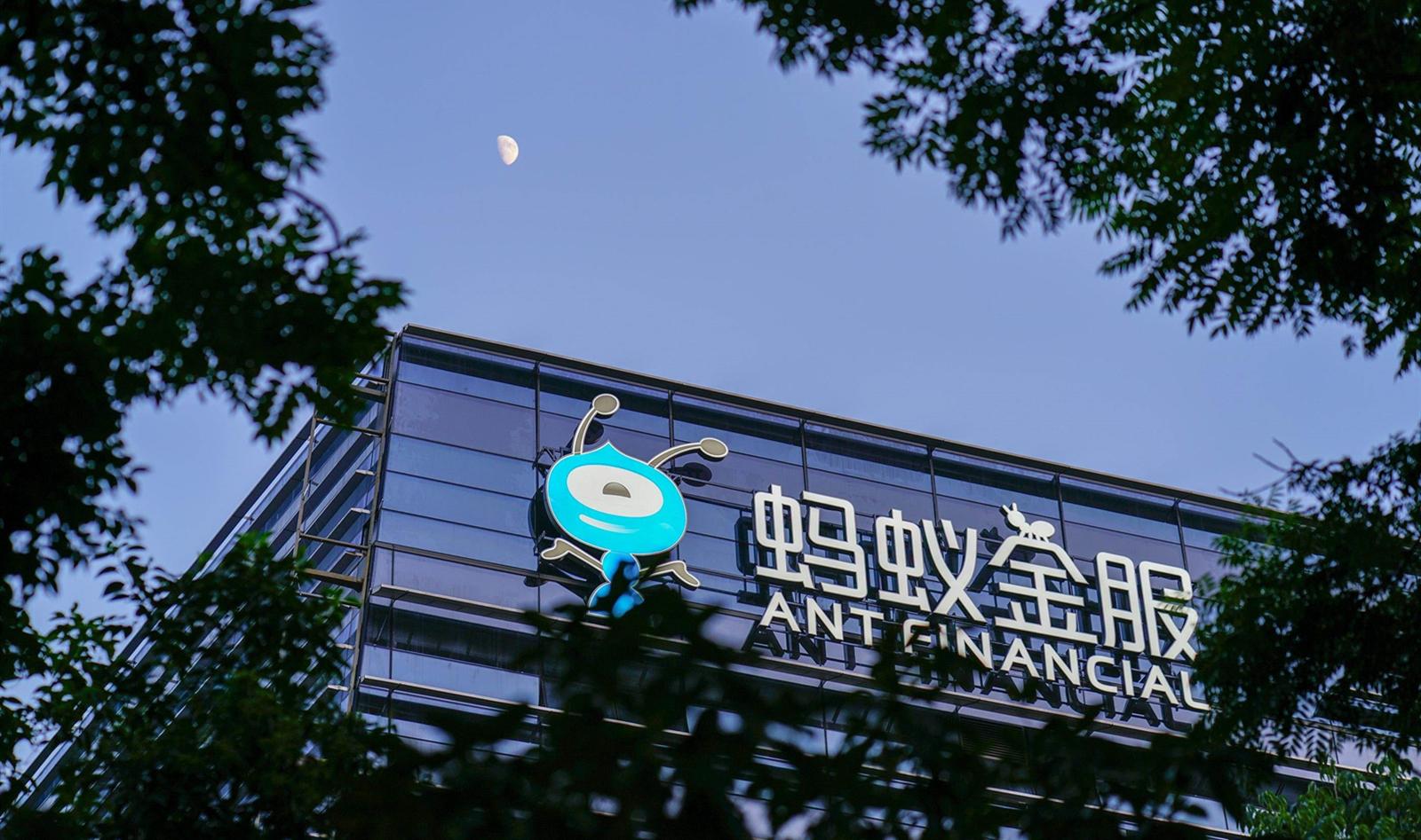 蚂蚁金服上市有多可怕,蚂蚁金服赚钱是真的吗