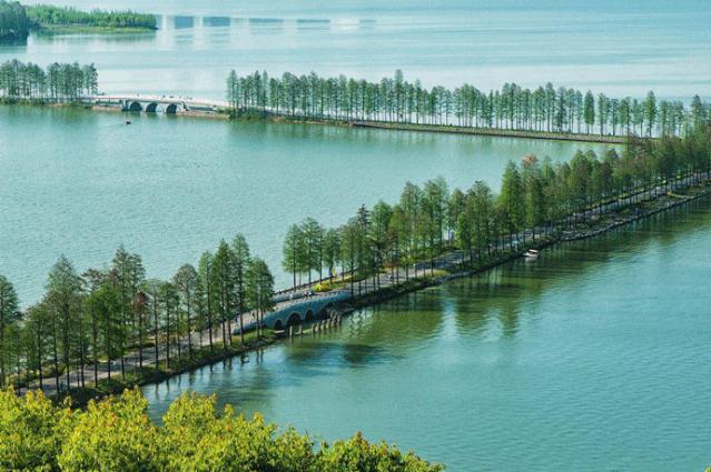 全国旅游投诉24小时热线,全国旅游最权威投诉电话