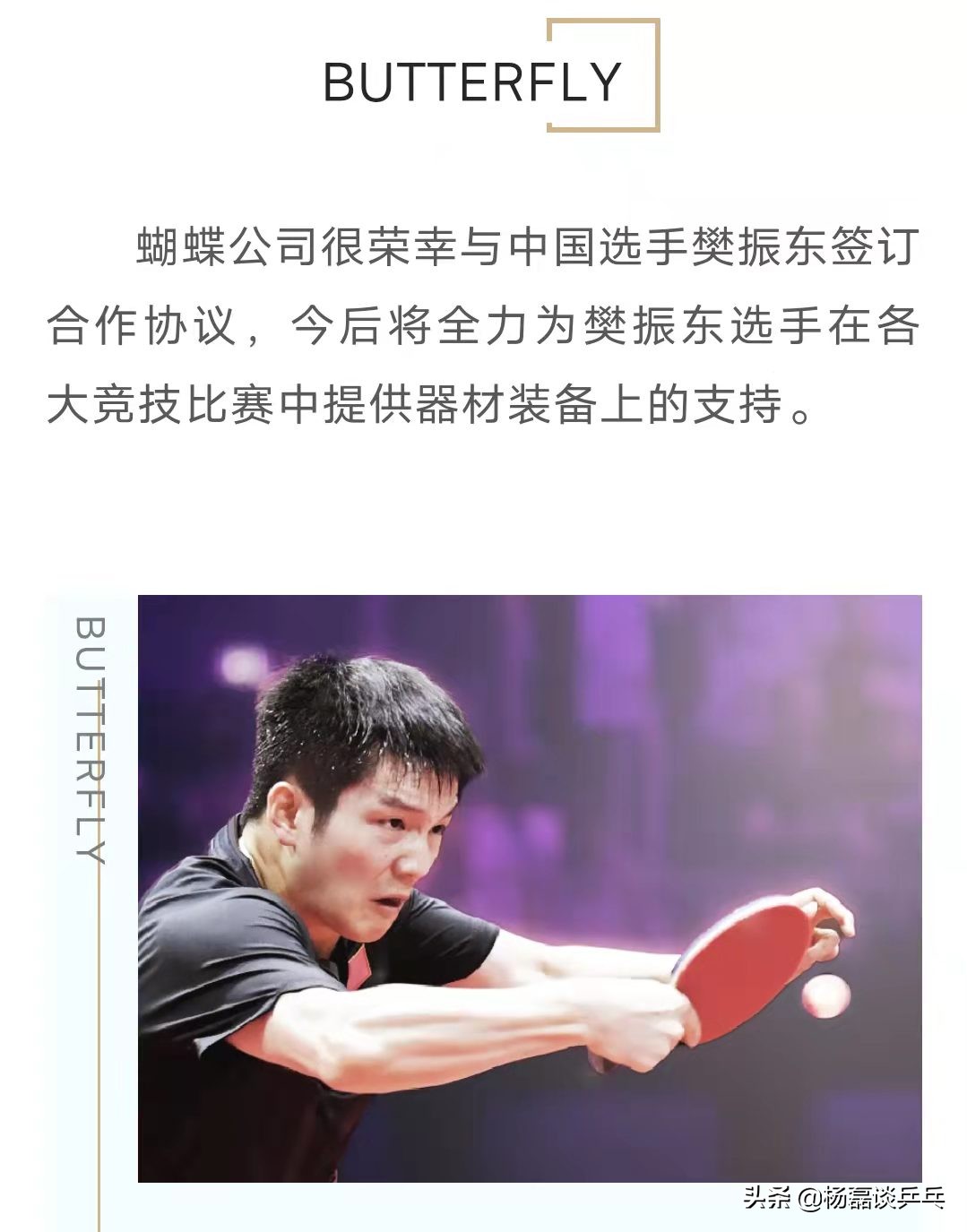 官宣樊振东,樊振东签约蝴蝶公司