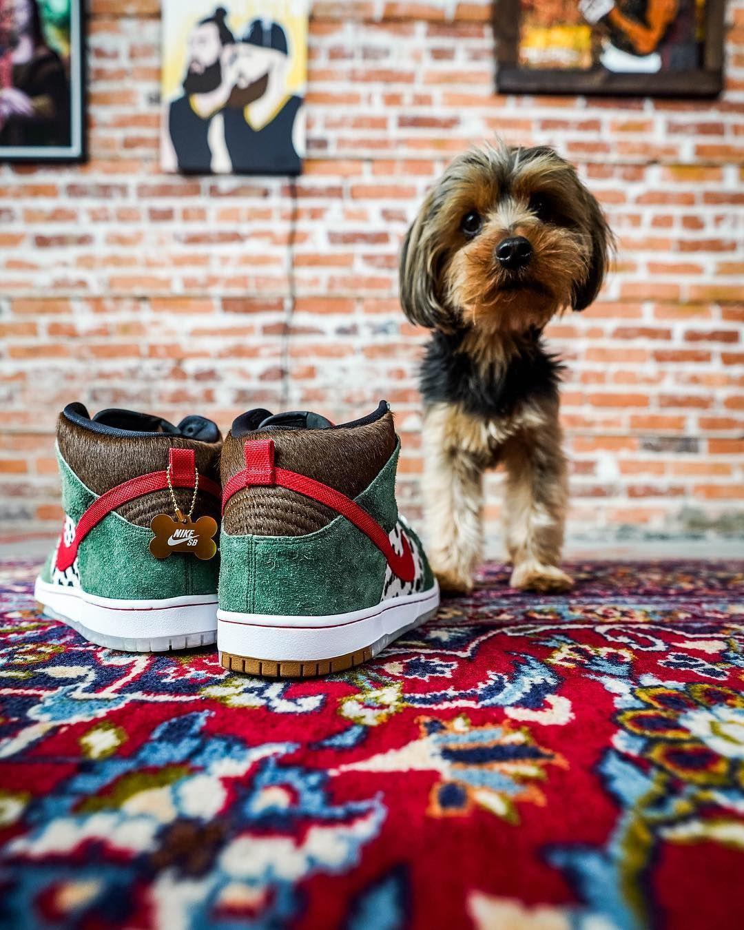 nikedunksb最好看款式,nikedunksb古驰