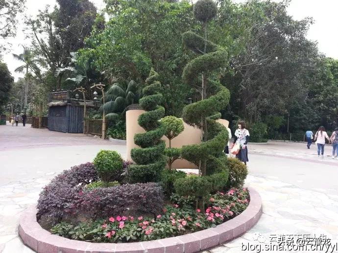 香港迪士尼乐园亲子游,香港迪士尼儿童乐园