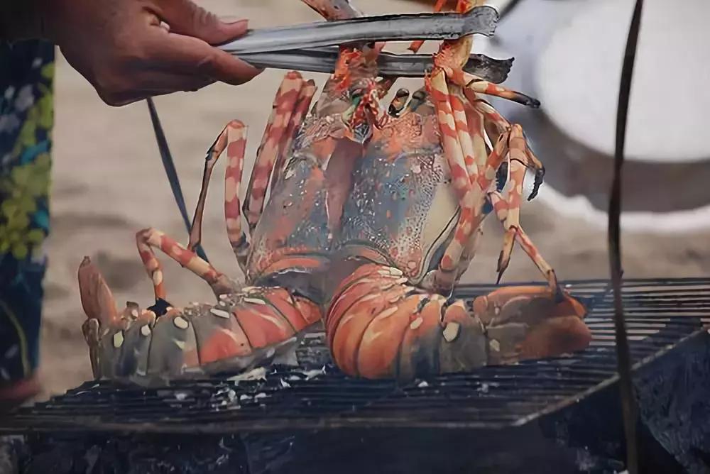 芽庄：人生必去的旅游地之一！