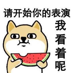 苹果手机自带录屏怎么录进去音乐,苹果手机自带录屏咋录外部声音