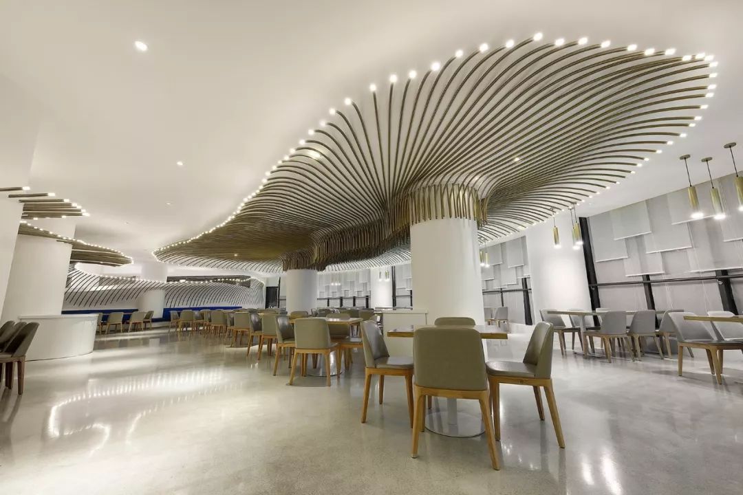 czd閰掑簵,娴锋磱涓栫晫娴锋櫙閰掑簵