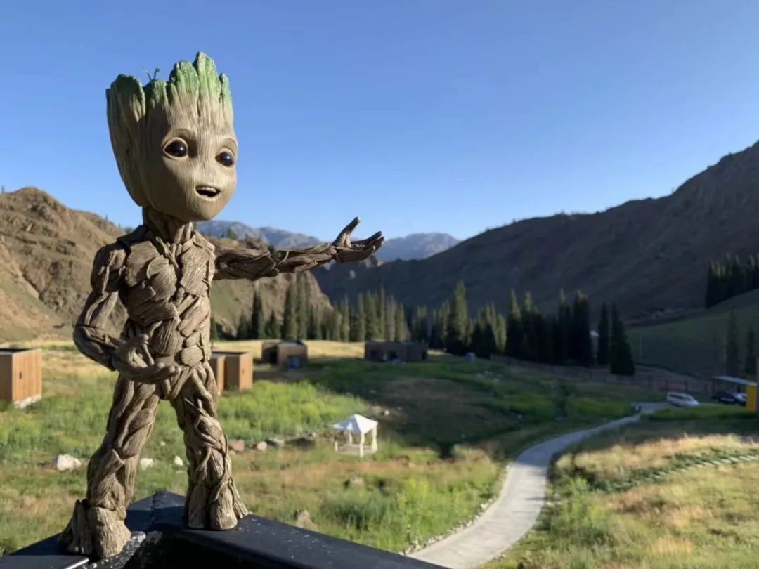 霸气!提前2月预定,仅15间客房,*疆新**这个酒店,够野还够奢