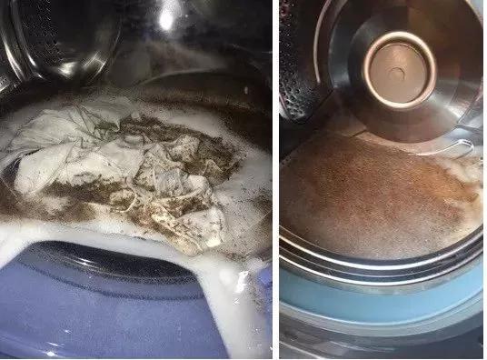 长时间不清洗的洗衣机有什么细菌,为什么放进洗衣机的衣服有霉菌