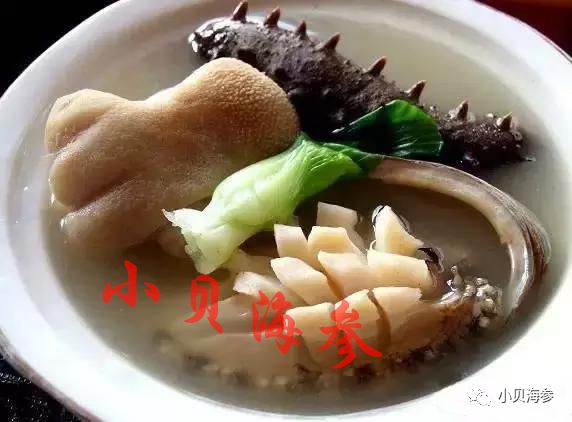 鸡蛋与海参哪个更有营养,虫草和海参哪个更营养