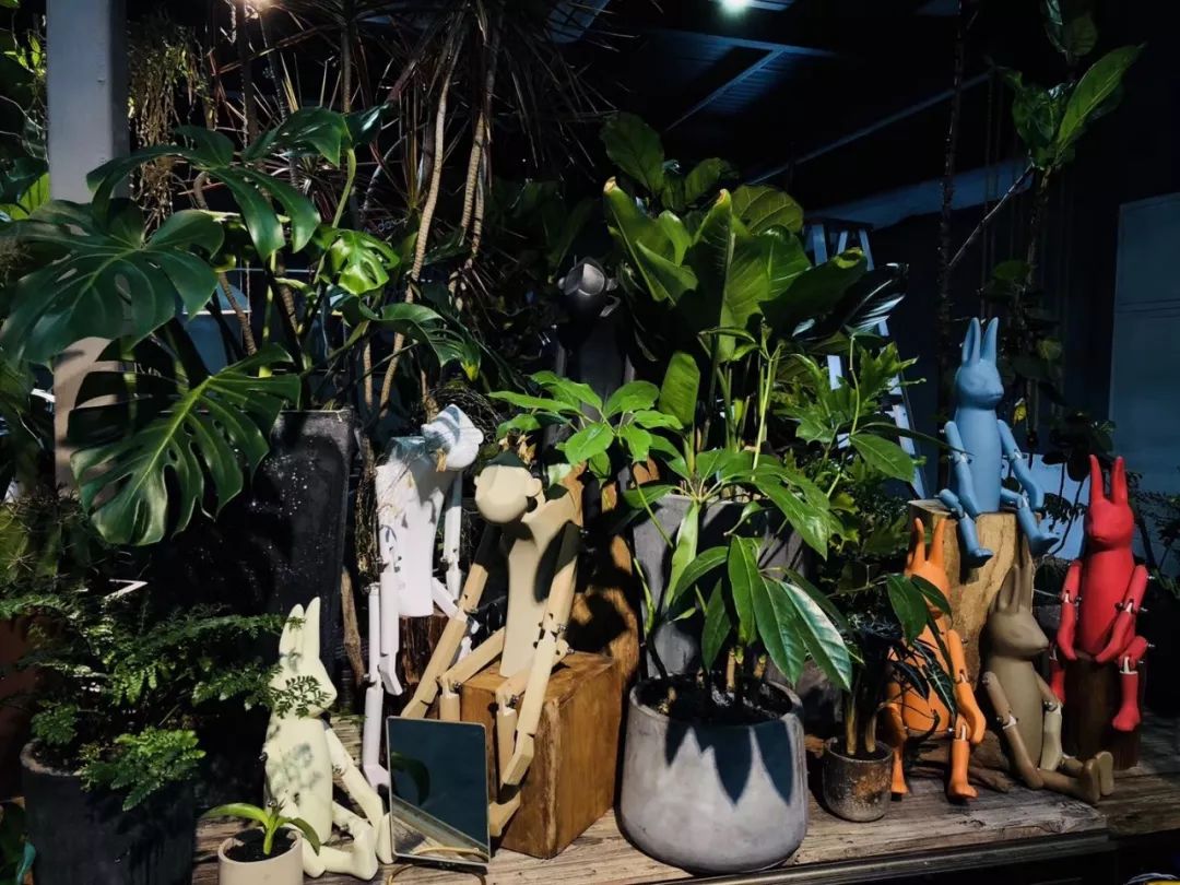 算命说上辈子是花童是什么意思,上辈子是花童是什么意思