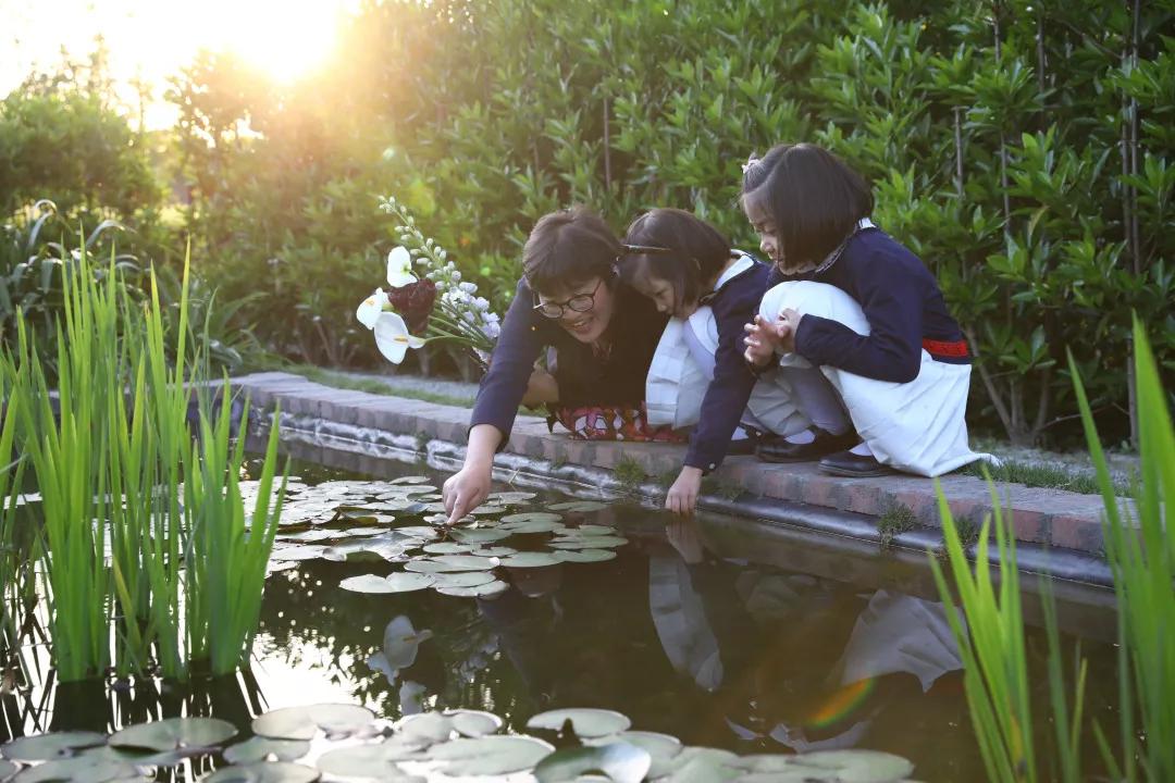 建一座完全不打药的生态花园，所有生命在这里和谐共处，值得收藏