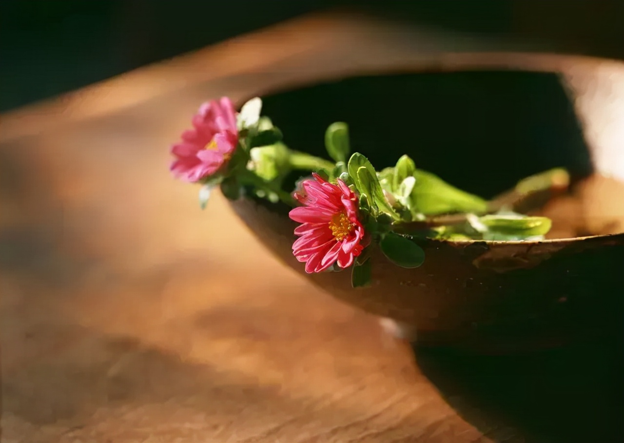 若能随他去便是世间自在人,若能一切随风去便是世间自在人