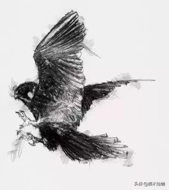 动物素描临摹装饰画,动物素描应该用哪些笔