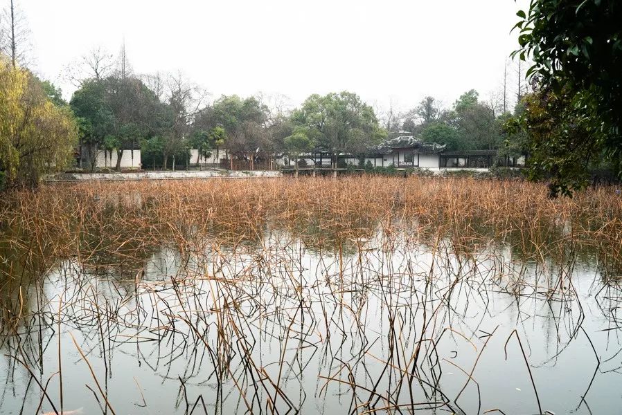 为了吃美食去外地,为了吃儿时的味道跑到一个地方