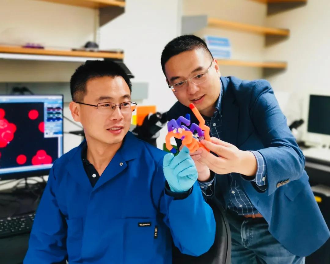 浙大药学院院长顾臻,液氮冷冻治疗干细胞