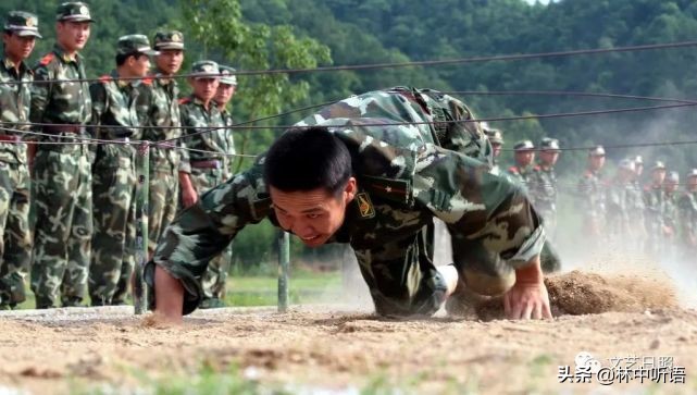 李美好作品,日照市李美好