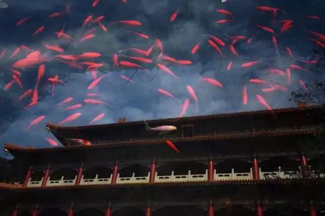 杭州天目山民宿排名前十,隐居山林中的5家精品民宿