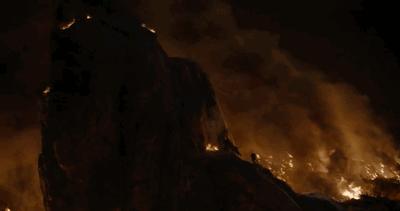 《狮子王》成年度面瘫巨制，但真有那么差吗？