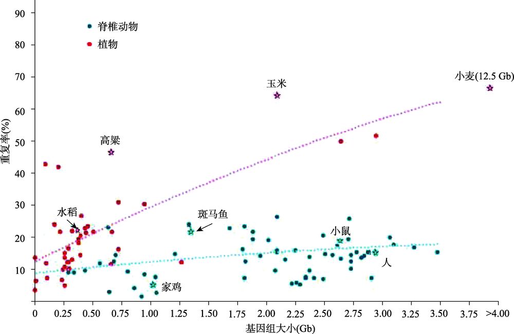 复杂基因组三代测序组装算法,基因组测序技术的发展