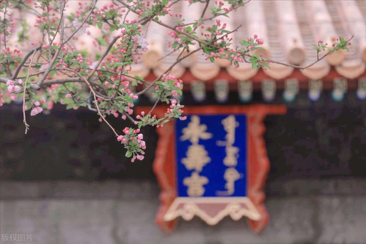 乾隆真的很爱富察皇后吗,乾隆有多爱富察皇后