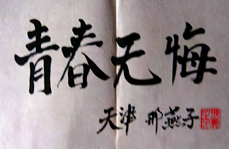 邢燕子的传奇人生:18岁到农村务农,后来成为中央委员