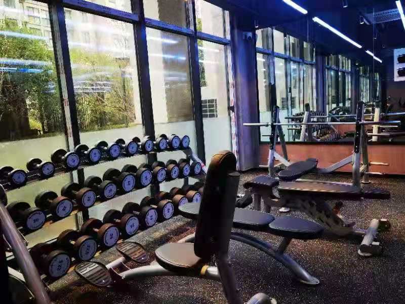 吃苦的年纪不要选择安逸句子,坚持健身给自己一个强健的体魄