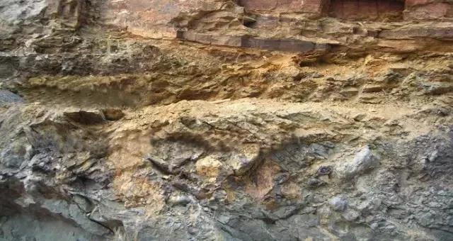 紫砂黄金段是什么颜色,紫砂黄金段色深好还是浅好