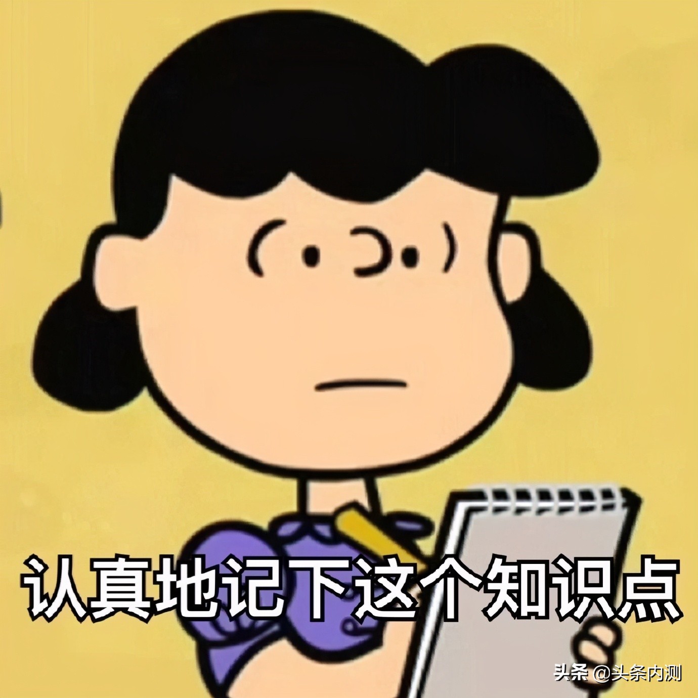 头条内测哪个领域最好,头条内测快速升级