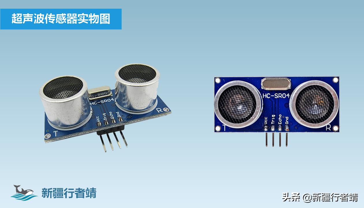 蝙蝠超声波测距,蝙蝠超声波定位系统仿生学应用