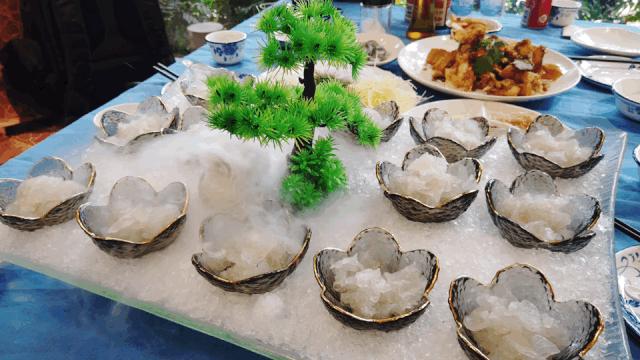 长隆飞鸟乐园长隆熊猫酒店怎么选,周一长隆野生动物园游玩攻略