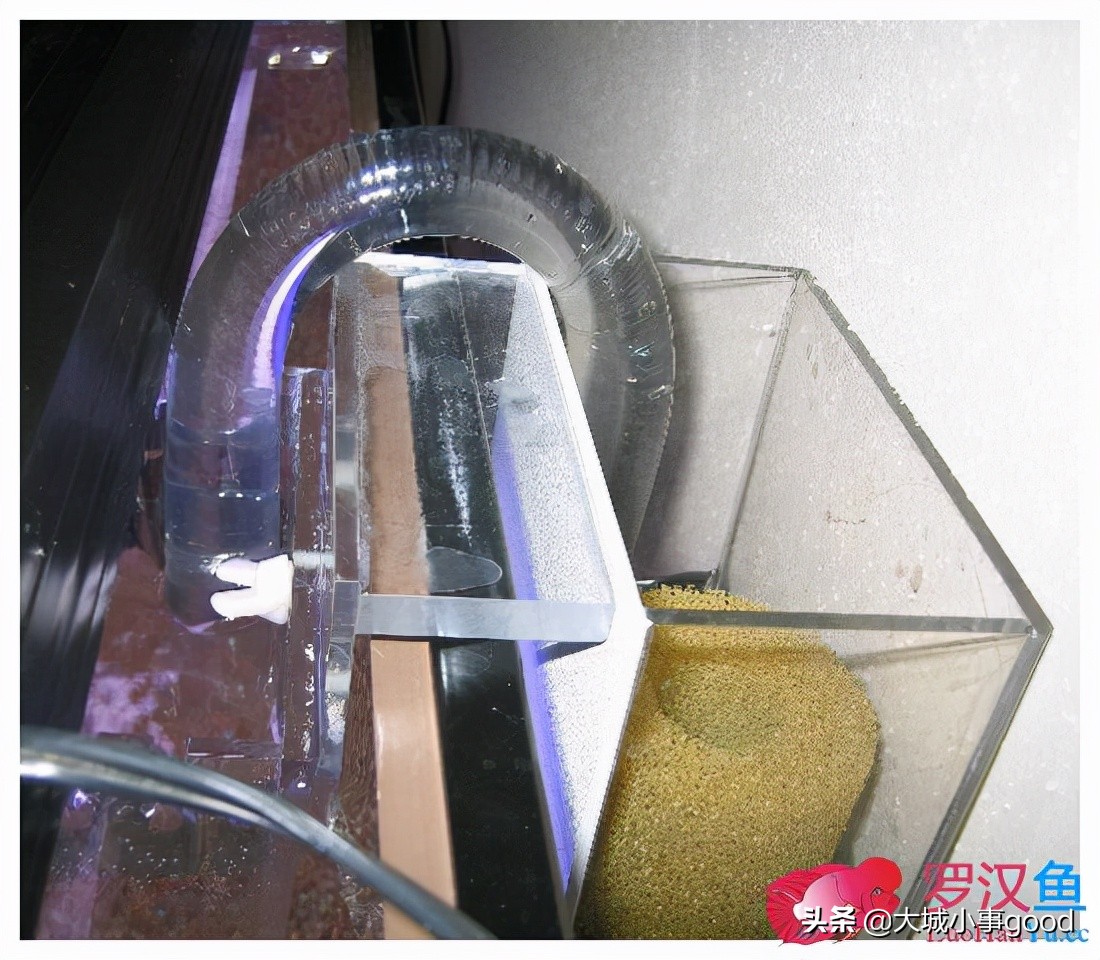 鱼缸过滤系统的基础解析,鱼缸过滤桶过滤原理