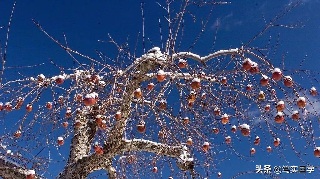 陕西渭南杨少林,渭南杨少林