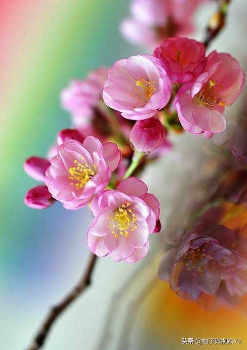 大智若愚的人生感悟句子,大智若愚的智慧名言