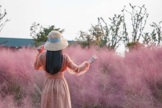 春有百花秋有月景点在哪,九龙湾花彩小镇醉美公园