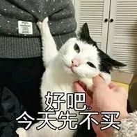 2021微单剁手指南,大宋夜市剁手指南