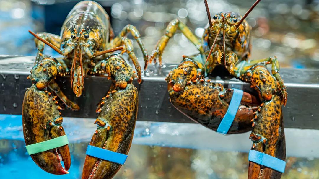 本地没有盒马山姆怎么买,盒马哪些地方比山姆好