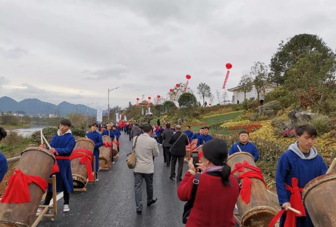 惠水第29届兰博会兰花获奖图片,惠水国际兰花展