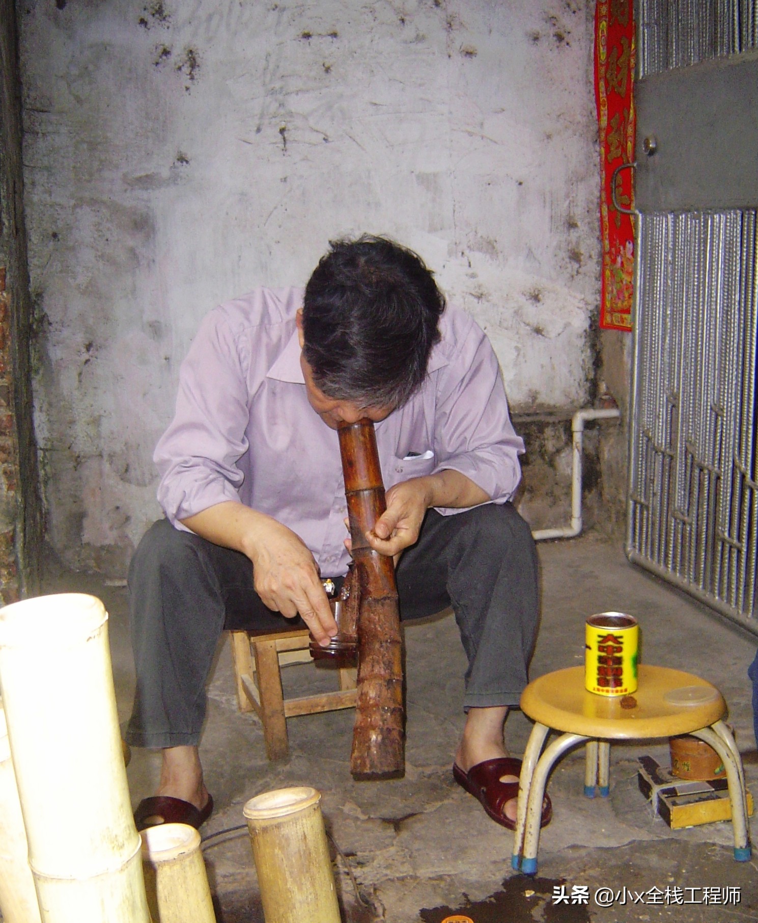 这个就是湛江的大碌竹又叫水烟筒