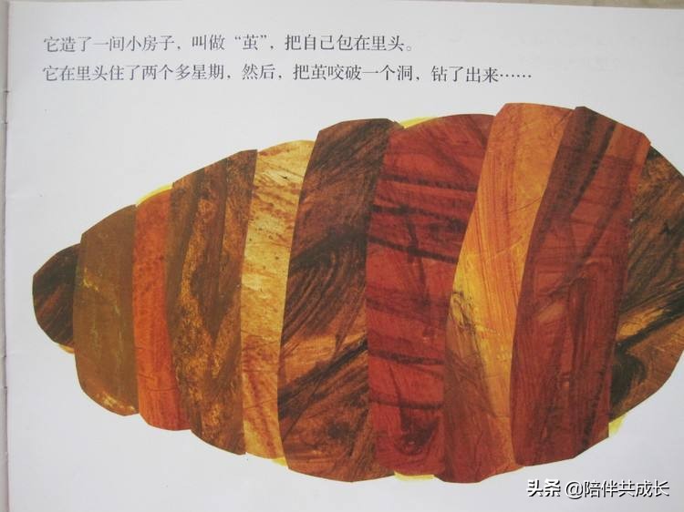 亲子绘本好饿的毛毛虫制作,亲子阅读好饿的小蛇