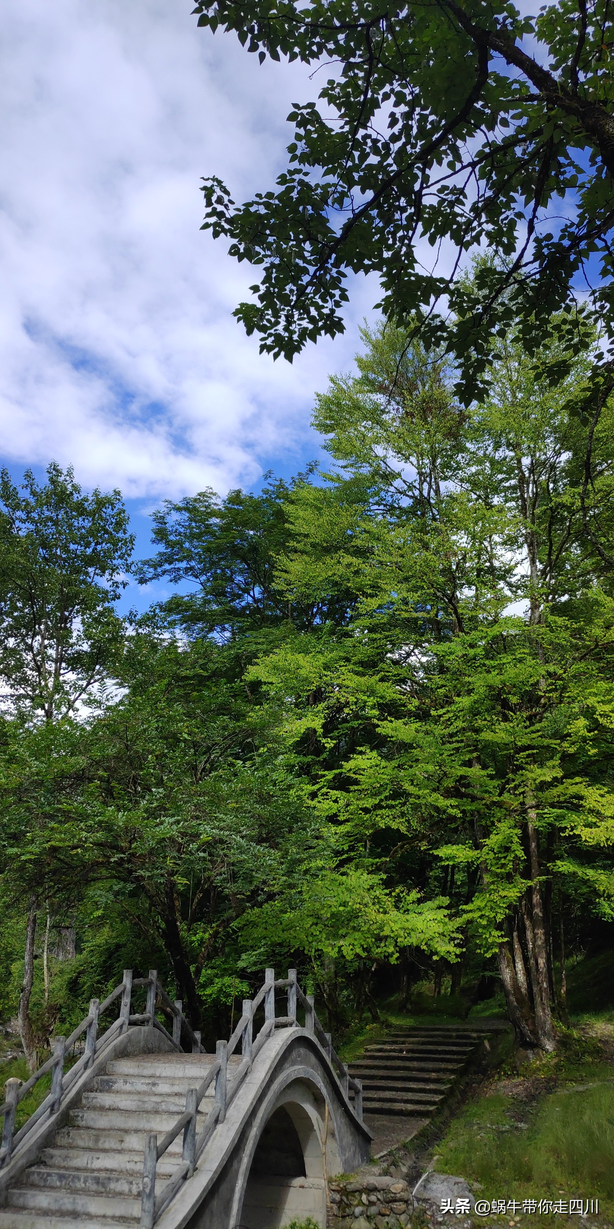 带小朋友出去看小动物,带小孩去海洋动物园