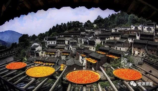 五一去婺源千古茶园,婺源茶文化旅游路线攻略