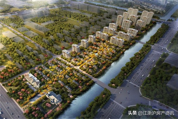 浙江宁波黑马,宁波杭州湾新区发展前景