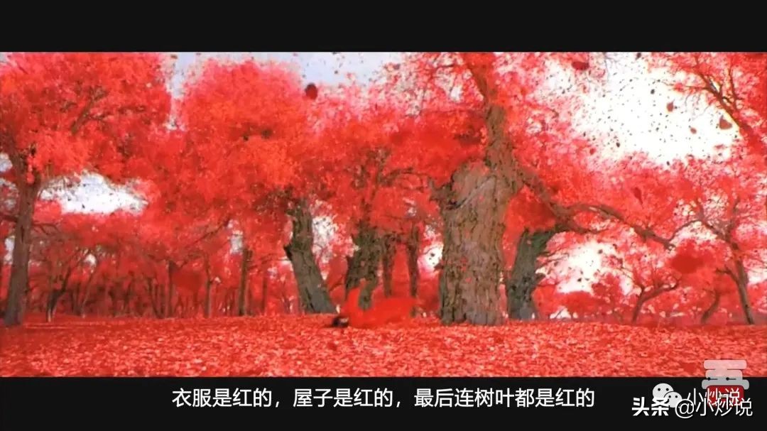 从《英雄》到《大秦赋》：彩的谎言掩盖不了血的历史