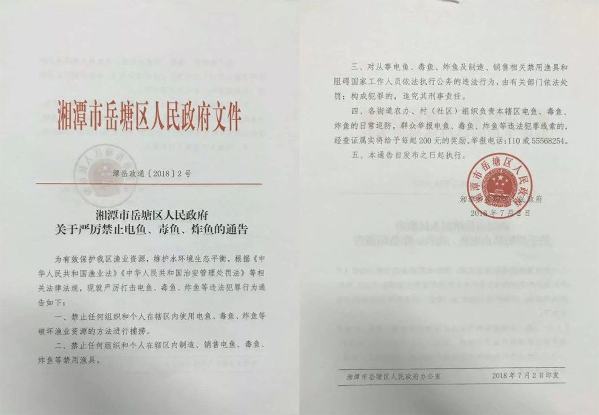 野钓知道这几点意外发生可以自救,野钓注意这些常用套路