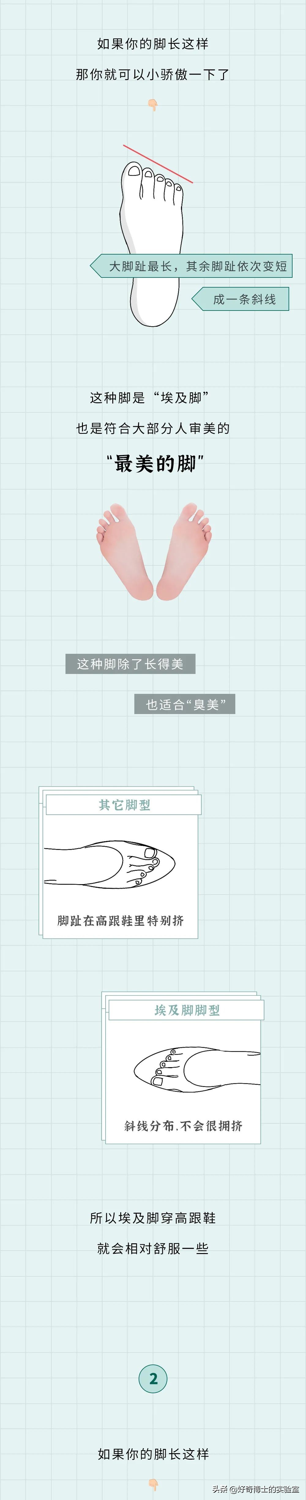 希腊脚最丑还是埃及脚好看,希腊脚罗马脚埃及脚哪个最稀有