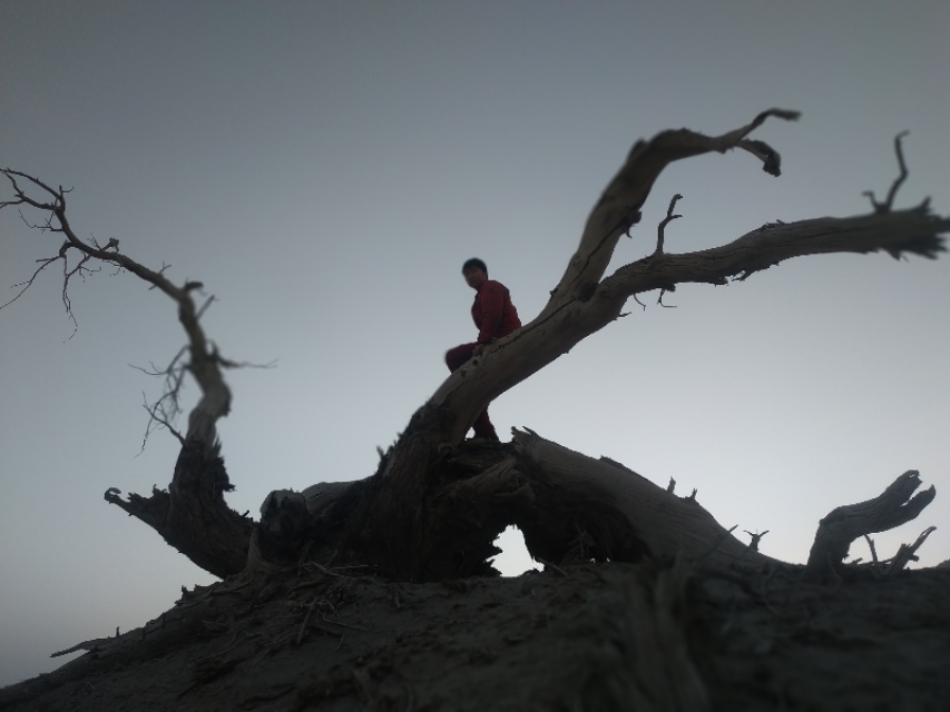 我在新疆生活的经历,我在新疆打工的日记