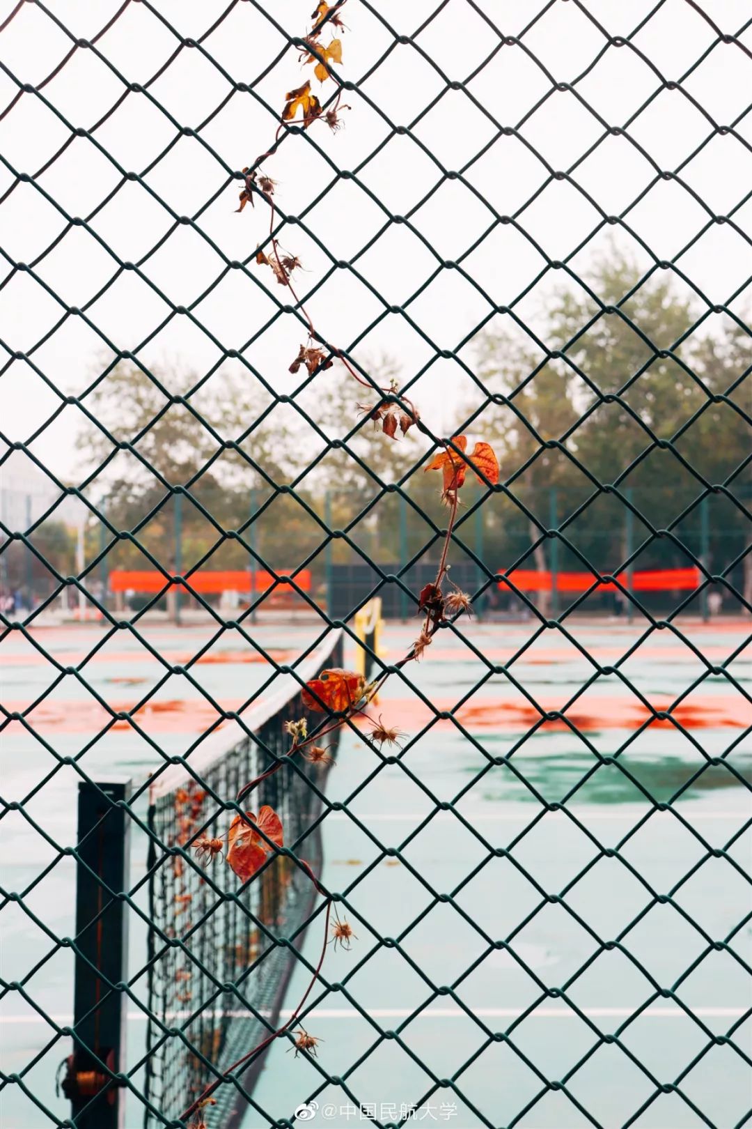 中国民航大学地位,中国民航大学很牛吗现在还有吗