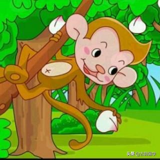 最喜欢的小动物0-3岁儿童启蒙儿歌,0-6岁儿歌100首动物