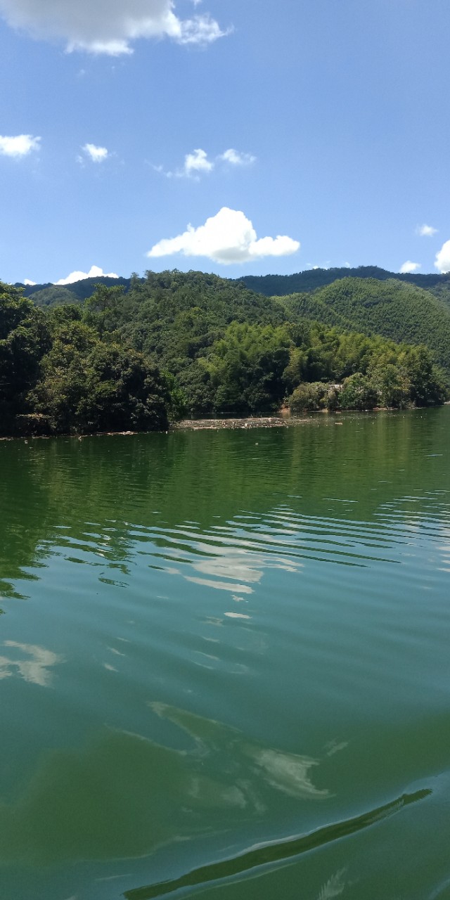 九州文学南京诗社作品,九州文学社作品