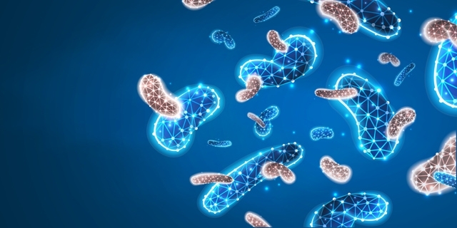 阴道菌群，关乎女性健康的方方面面